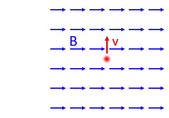 proton and magnet