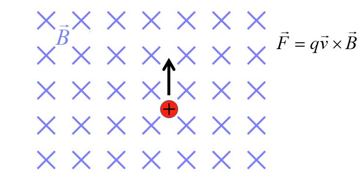 proton and magnetic field