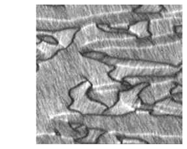 magnetic domains