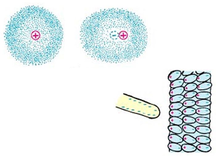 polarization