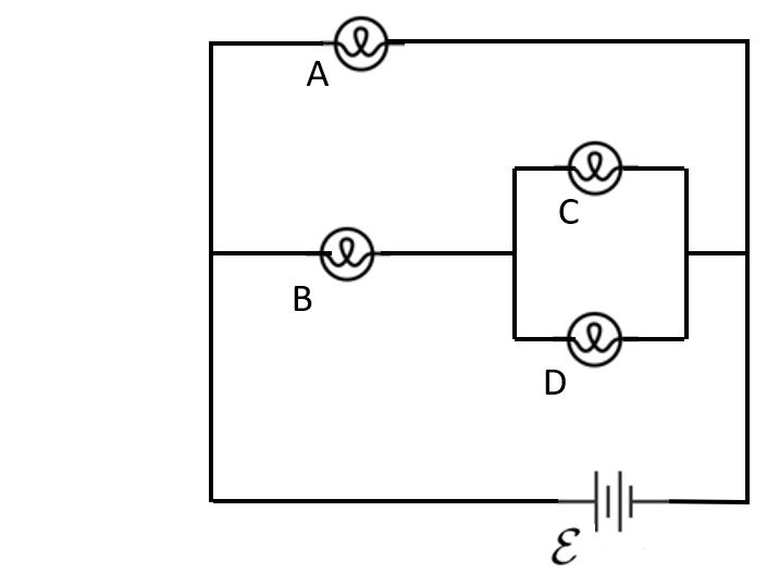 light bulb circuit