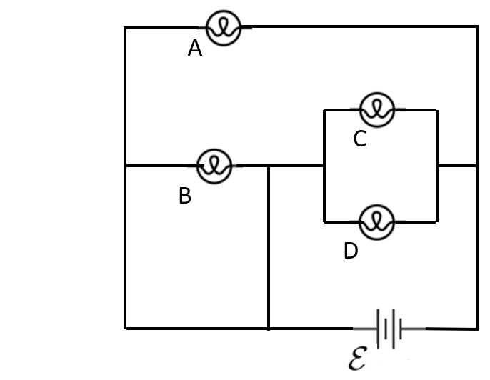 light bulb circuit