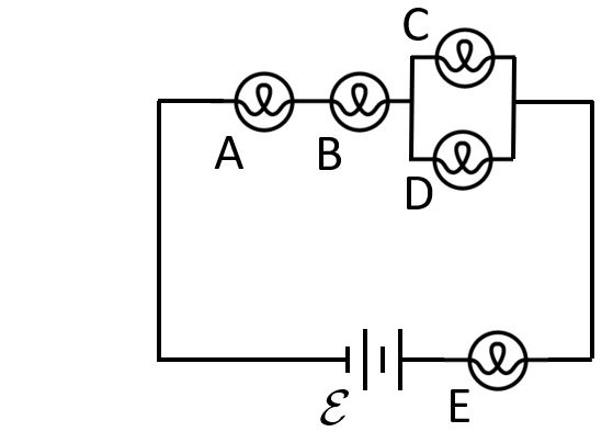 light bulb circuit